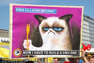 Grumpy cat : NSA killed the Internet - Now I have to build a new one