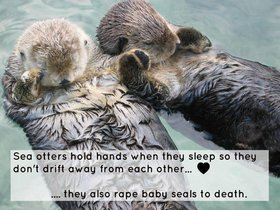 Sea_otters-Cute-can-be-horrible.jpg