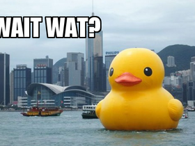 wait-wat-giant-duck.png
